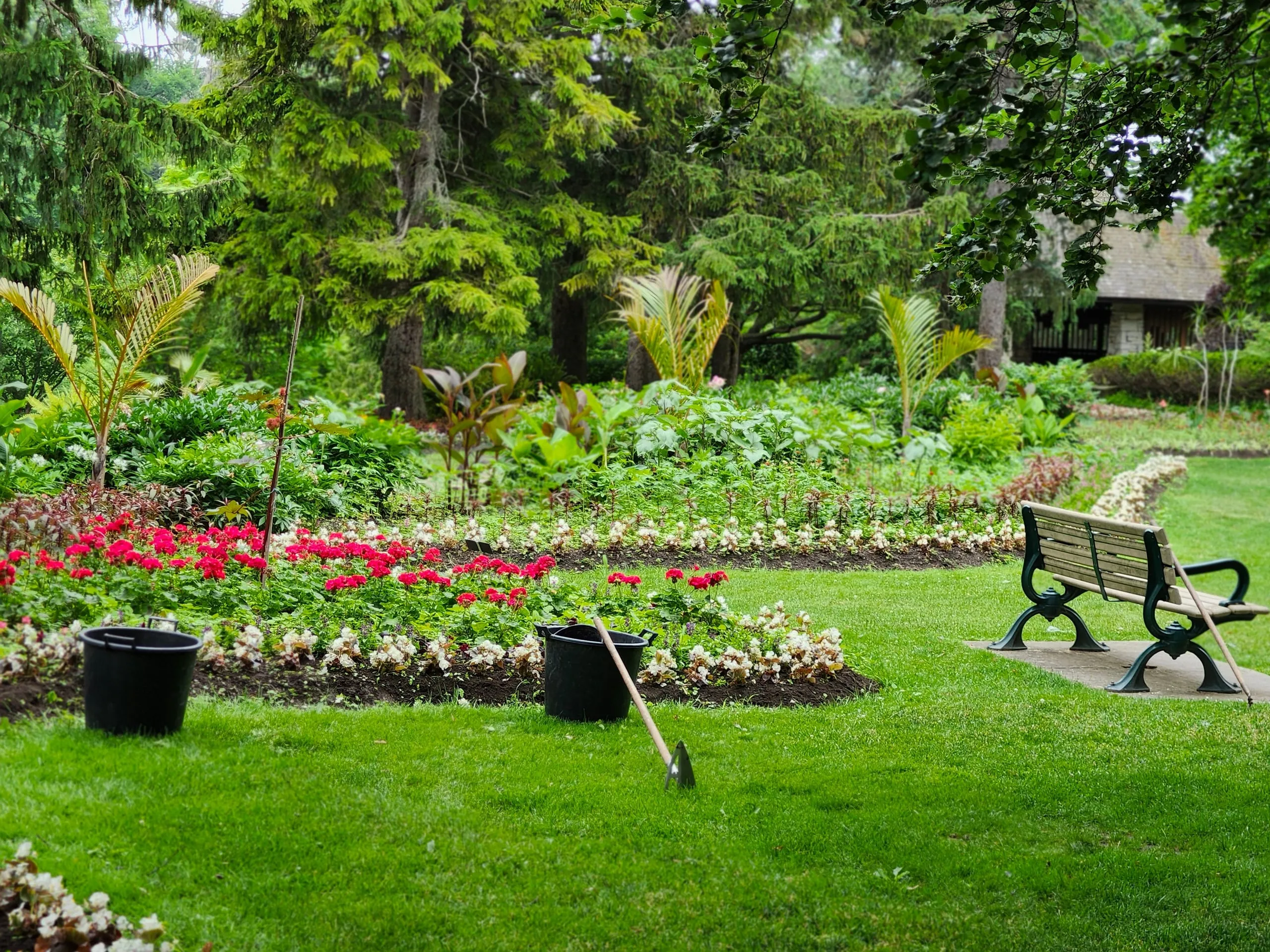 A colourful mixed flower bed in a mature garden.