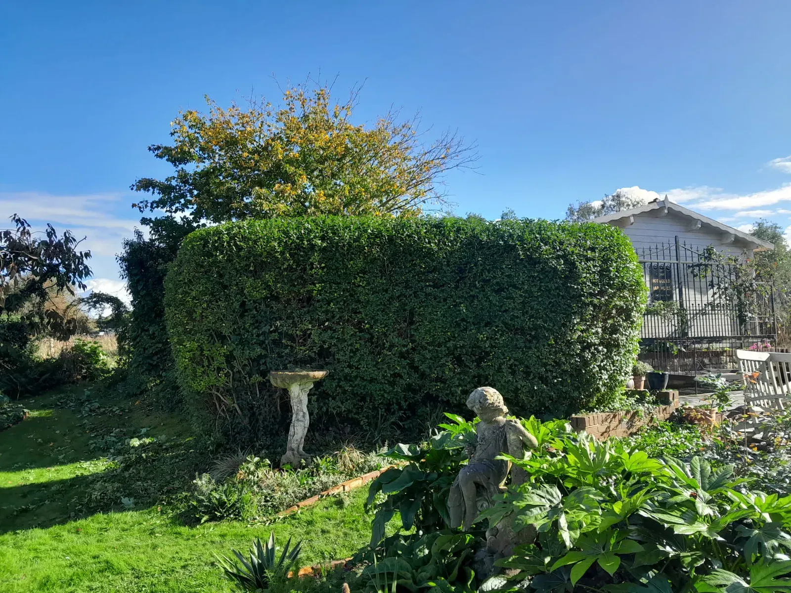 A neatly cut established hedge beside a garden path.